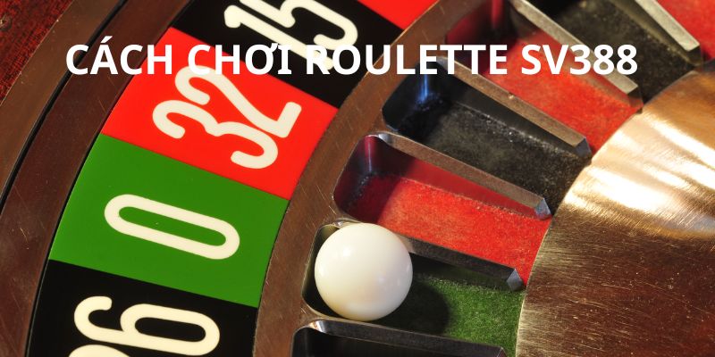 Quy tắc tham gia Roulette tại SV388 hội viên phải tuân thủ