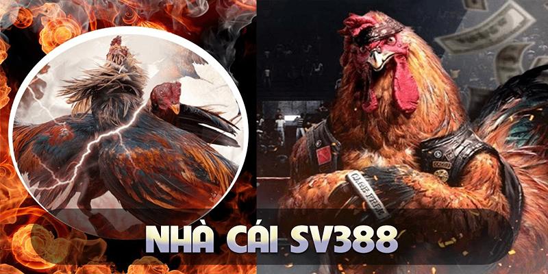 Sv388 Lừa Đảo