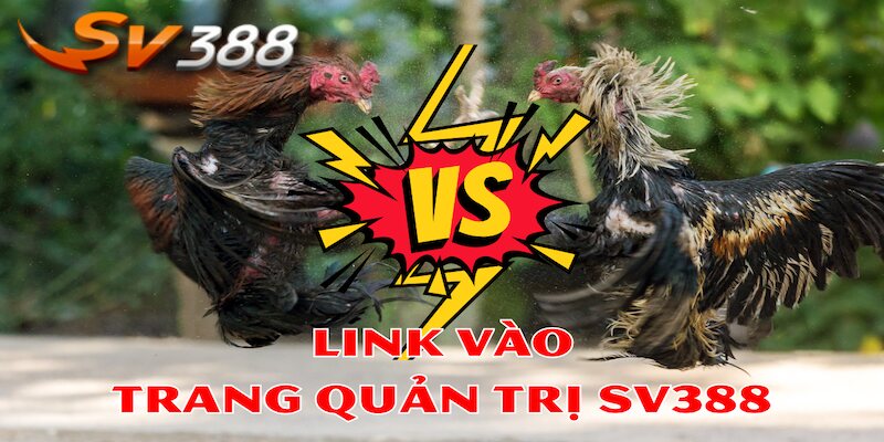 Sử dụng đường link trang quản trị SV388 chính thức