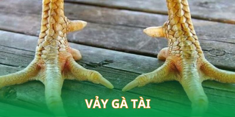 Vảy Gà Tài